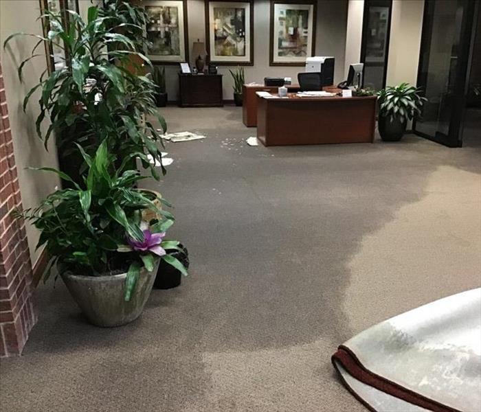flooded carpeting in an office