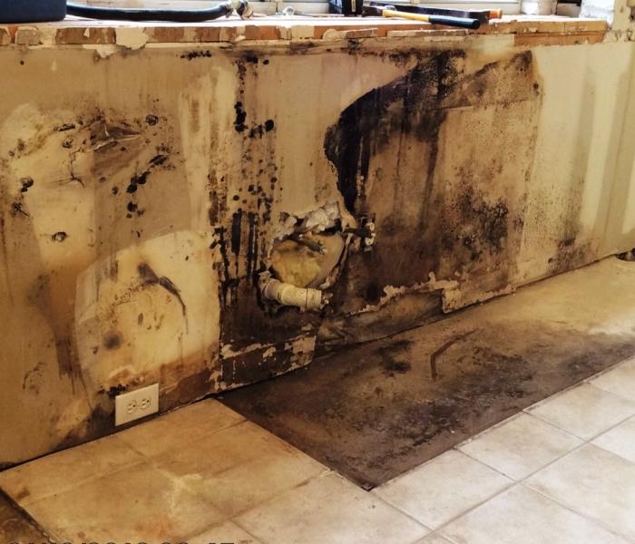 mold damage behind kitchen cabinets