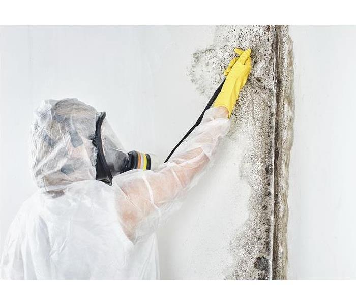 microbial growth in the corner of a room with a person wearing personal protective gear to begin cleaning