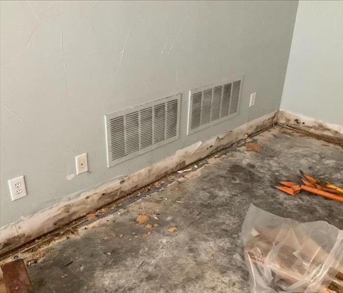 mold growth exposed where baseboard was removed from light gray wall
